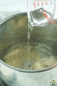 pouring water into an instant pot with rice