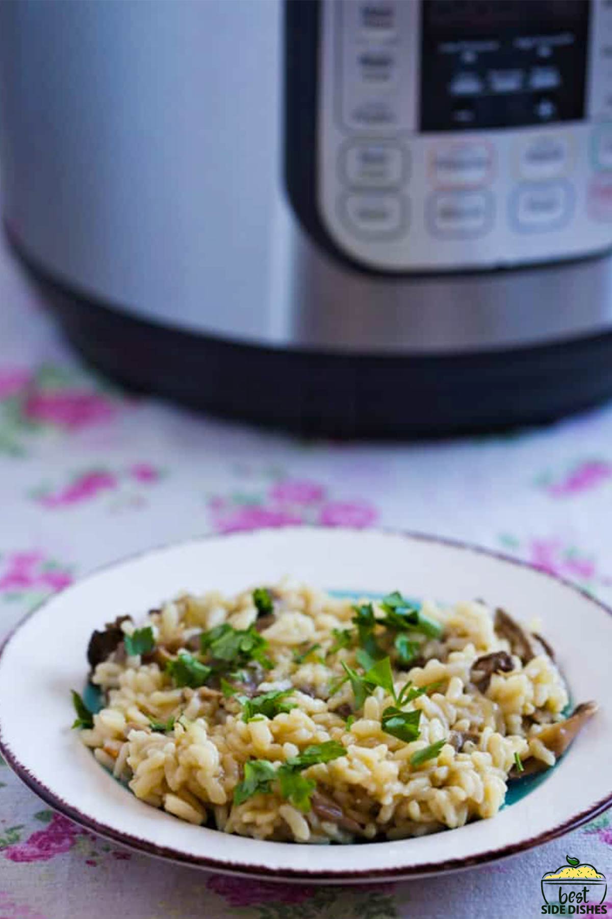 mushroom risotto in a small white and blue dish
